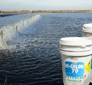 Clorin Nippon ứng dụng trong ngành chăn nuôi thủy hải sản