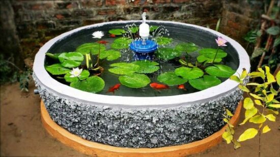 Cách làm hồ cá xi măng kết hợp kính - 10 mẫu hồ cá xi măng đẹp cho căn hộ của bạn 10 mẫu hồ cá xi măng đẹp nhất 2023