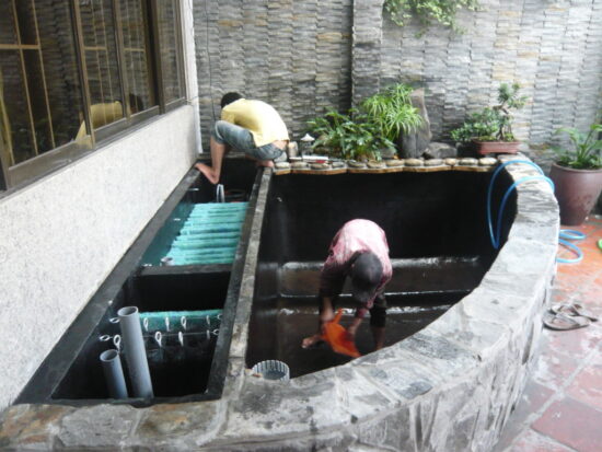 Sơ đồ bể lọc cá koi hiệu quả và tiết kiệm nhất Cách xây dựng bể lọc nước