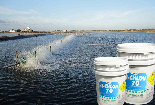 Chlorine Tosoh Niclon Hóa chất khử mùi khử trùng nước hồ bơi nhà máy ao nuôi