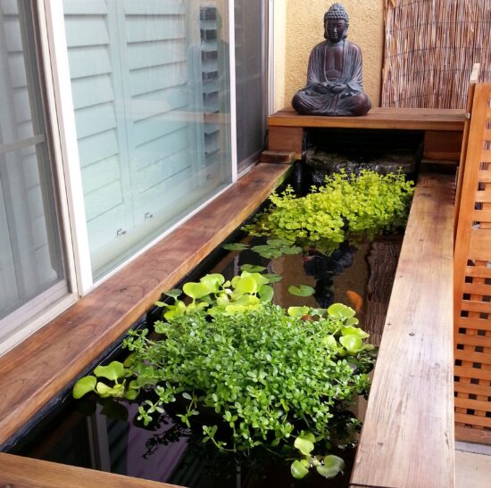 Cách làm hồ cá xi măng kết hợp kính - 10 mẫu hồ cá xi măng đẹp cho căn hộ của bạn Hồ cá xi măng có tượng phật