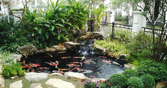 Cách làm hồ cá xi măng kết hợp kính - 10 mẫu hồ cá xi măng đẹp cho căn hộ của bạn Hồ cá xi măng kết hợp chỗ ngồi