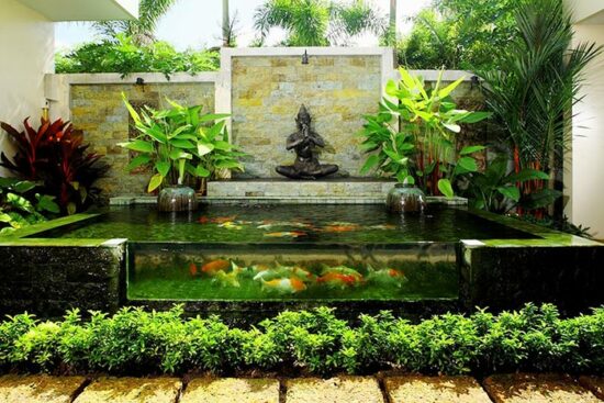 Cách làm hồ cá xi măng kết hợp kính - 10 mẫu hồ cá xi măng đẹp cho căn hộ của bạn Hồ cá xi măng kết hợp kính
