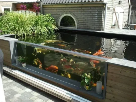 Cách làm hồ cá xi măng kết hợp kính - 10 mẫu hồ cá xi măng đẹp cho căn hộ của bạn ưu điểm của các mẫu hồ cá xi măng kết hợp kính