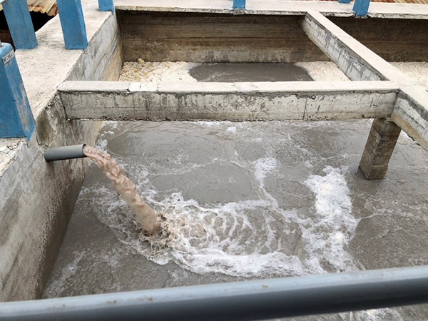 Sự cần thiết cần thiết của hóa chất xử lý nước thải thủy sản